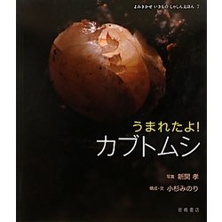 うまれたよ!カブトムシ(よみきかせいきものしゃしんえほん〈7〉) [絵本]