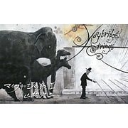 マイブリッジの糸〈2〉 [単行本]