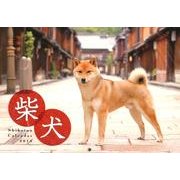 柴犬カレンダー 2013 [カレンダー]
