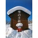 雪の手紙 [単行本]