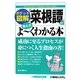 ポケット図解 「菜根譚」の教えがよーくわかる本 [単行本]