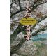 大和百景―奈良大和路を撮る [単行本]