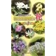 軽井沢町植物園の花〈第3集〉 [図鑑]