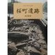 桜町遺跡調査概報―北陸の縄文遺跡 [単行本]