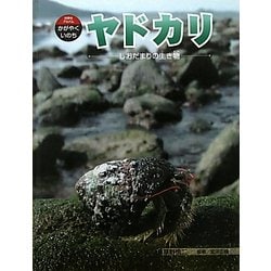 ヤドカリ―しおだまりの生き物(科学のアルバム・かがやくいのち〈6〉) [全集叢書]