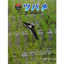 ツバメ―春にくる渡り鳥(科学のアルバム・かがやくいのち〈12〉) [全集叢書]