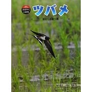 ツバメ―春にくる渡り鳥(科学のアルバム・かがやくいのち〈12〉) [全集叢書]