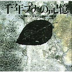千年ブナの記憶 [単行本]