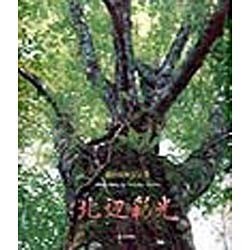 北辺彩光―脇田祐裕写真集 [単行本]