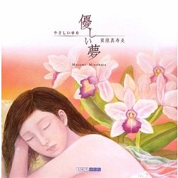優しい夢(ART BOX GALLERYシリーズ) [単行本]