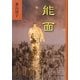 能面 [単行本]