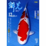 鱗光 2004年12月号 [単行本]