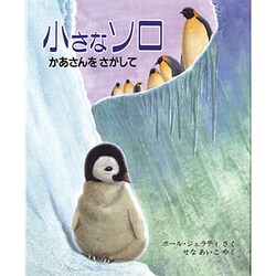 小さなソロ―かあさんをさがして(児童図書館・絵本の部屋) [絵本]