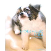 いつもいっしょにいるよ [単行本]