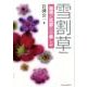 雪割草－栽培と花創りの楽しみ [単行本]