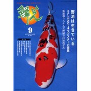 鱗光 2000年9月号 [単行本]