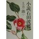 小説 石田波郷 [単行本]