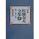 定本 佐藤春夫全集〈第2巻〉詩歌(2) [全集叢書]
