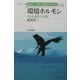 環境ホルモン―人心を「撹乱」した物質(シリーズ・地球と人間の環境を考える〈04〉) [全集叢書]