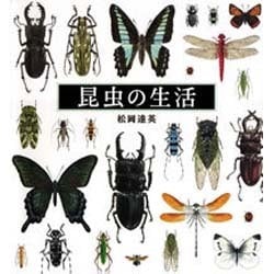 昆虫の生活 [単行本]