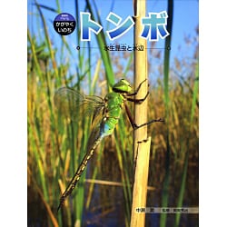 トンボ－水生昆虫と水辺（科学のアルバム・かがやくいのち 3） [全集叢書]