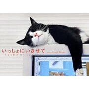 いっしょにいさせて－postcard book 写真集 [単行本]