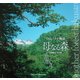 白山・ブナ物語 母なる森―曽我隆行写真集 [単行本]