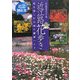 近江路花歩き―花を楽しむ日帰り健康ハイク(近江旅の本) [全集叢書]