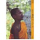 タイ・黄衣のゆらぎ―戒律の知恵(アジア民俗写真叢書〈6〉) [単行本]