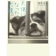天使になった犬達 [単行本]