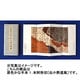 原色かな手本 1 [全集叢書]