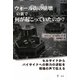 ウォール街の崩壊の裏で何が起こっていたのか?―セルサイドからバイサイドへの勢力の逆転を現場の声で伝える [単行本]