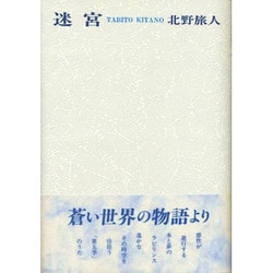迷宮 [単行本]