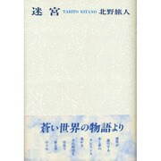 迷宮 [単行本]