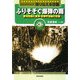 ビジュアルブック 語り伝える空襲〈第3巻〉ふりそそぐ爆弾の雨―愛知空襲と東海・北陸甲信越の空襲 [全集叢書]