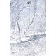 島田荘司全集〈4〉確率2/2の死・サテンのマーメイド・夏、19歳の肖像・火刑都市 [単行本]