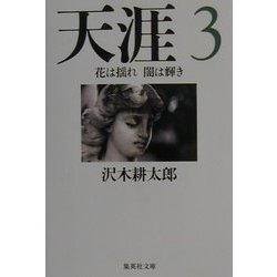 天涯〈3〉花は揺れ闇は輝き(集英社文庫) [文庫]