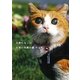 天使になった全盲の奇跡の猫 チョキ [単行本]