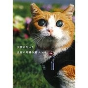 天使になった全盲の奇跡の猫 チョキ [単行本]