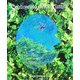 Sentimento della Natura―高野倉さかえ詩画集 [単行本]