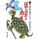 はやぶさとカメ―5分で読める41編のメルヘン [単行本]