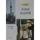中国語新語辞典 三訂版 [事典辞典]