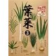 家庭菜園レベルアップ教室 葉菜〈3〉 [単行本]