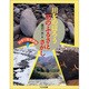 川をのぼろう石のふるさとさがし(科学で環境探検) [全集叢書]
