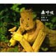 森呼吸―生まれかわった流木たち [単行本]
