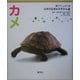カメ(育てて、しらべる日本の生きものずかん〈6〉) [図鑑]