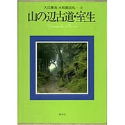 入江泰吉大和路巡礼 3 [全集叢書]