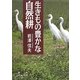 生きもの豊かな自然耕 [単行本]