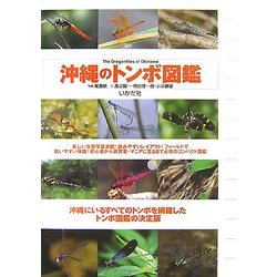 沖縄のトンボ図鑑 [図鑑]