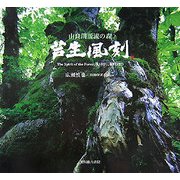 芦生風刻―由良川源流の森 [単行本]